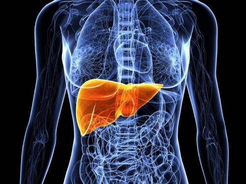 Жировой гепатоз печени лечение народными средствами